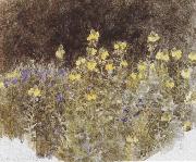 Helen Allingham,R.W.S Studies of Flowers (mk37) France oil painting artist